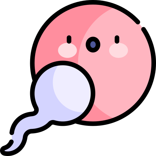 Calculadora de Ovulación